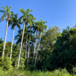 19051期足彩开奖结果揭晓,大奖花落谁家引关注 362qv