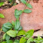 19077期彩票开奖结果公布,大奖花落谁家引关注 4s52nr