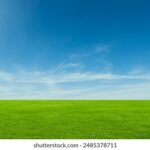 3d开奖240期最新开奖结果查询与号码走势分析 g05a7ac8