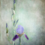 19080期体彩开奖结果揭晓,大奖花落谁家? g5t5c