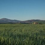 19047期双色球开奖结果公布,大奖花落谁家引关注 gg0ol77