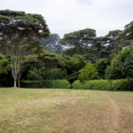 19065期开奖结果震撼揭晓,大奖花落谁家? ia4g9zlmi