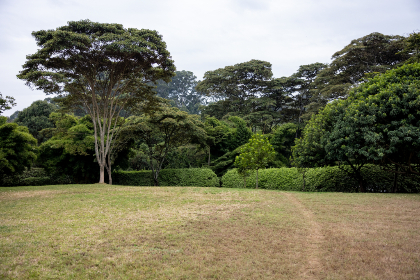 19065期开奖结果震撼揭晓,大奖花落谁家? 19065期开奖结果震撼揭晓,大奖花落谁家?