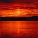 19056期开奖结果揭晓:幸运号码震撼公布 rhxux423