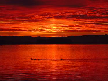 19056期开奖结果揭晓:幸运号码震撼公布 19056期开奖结果揭晓:幸运号码震撼公布