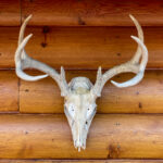 19088期福彩开奖结果最新公布,快来看看你中奖了吗? s7exaq