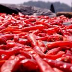 19050期彩票开奖结果最新公布,快来看看你中奖了吗? shjlj5mrry