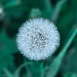 19078期最新开奖结果查询与中奖号码公布 v94r3k