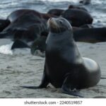 19086期足彩开奖结果揭晓:大奖花落谁家? wq3cnj99