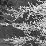 19046期彩票开奖结果最新公布 yaiwgwt4a